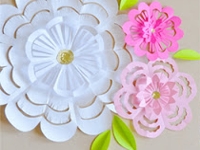 Holly Brooke Jones Layered Paper Flowers